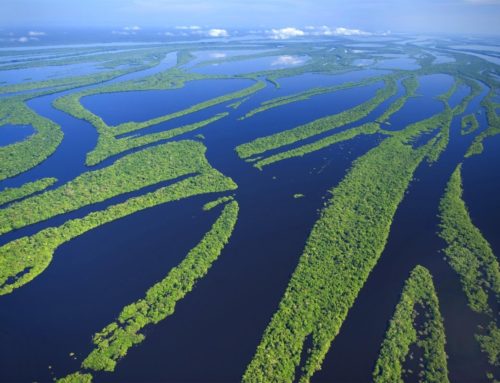 The Amazon river is 14 times larger than St-Laurent!