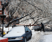 Ice Storm babies 514Blog.ca