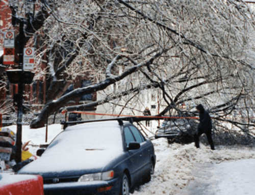 Quebec Ice Storm Babies Carry a Unique Epigenetic Profile