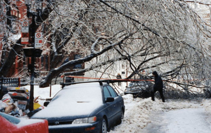 Ice Storm babies 514Blog.ca