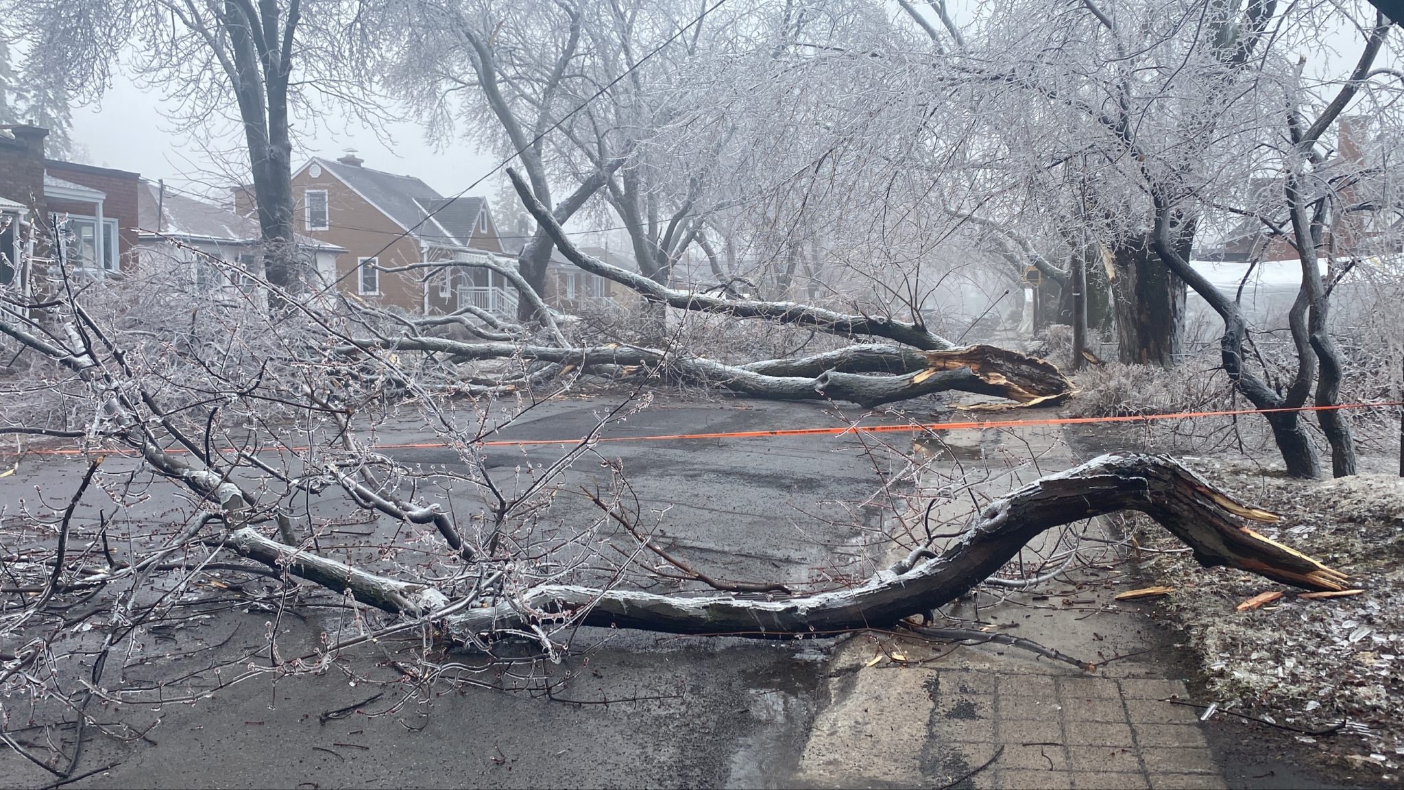 Quebec Ice Storm Babies Carry a Unique Epigenetic Profile